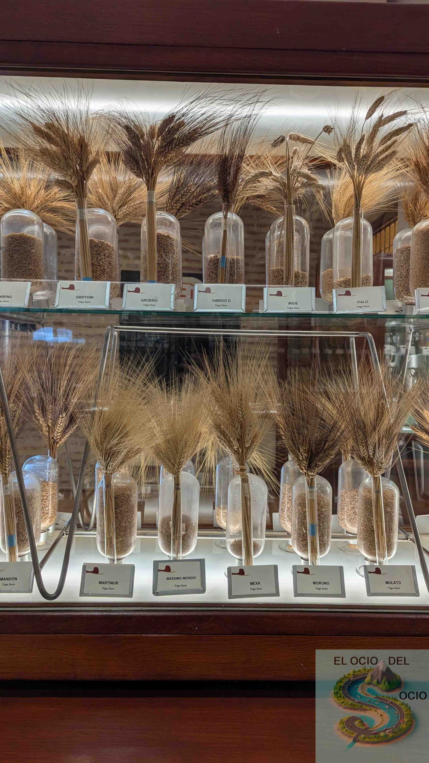 Museo del cereal, sala de cereales. Arévalo (Ávila)