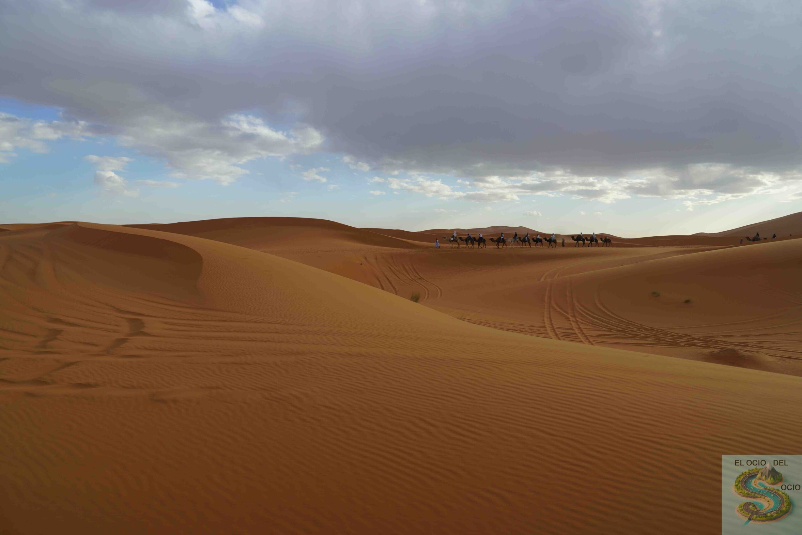 caravana camellos dunas merzouga