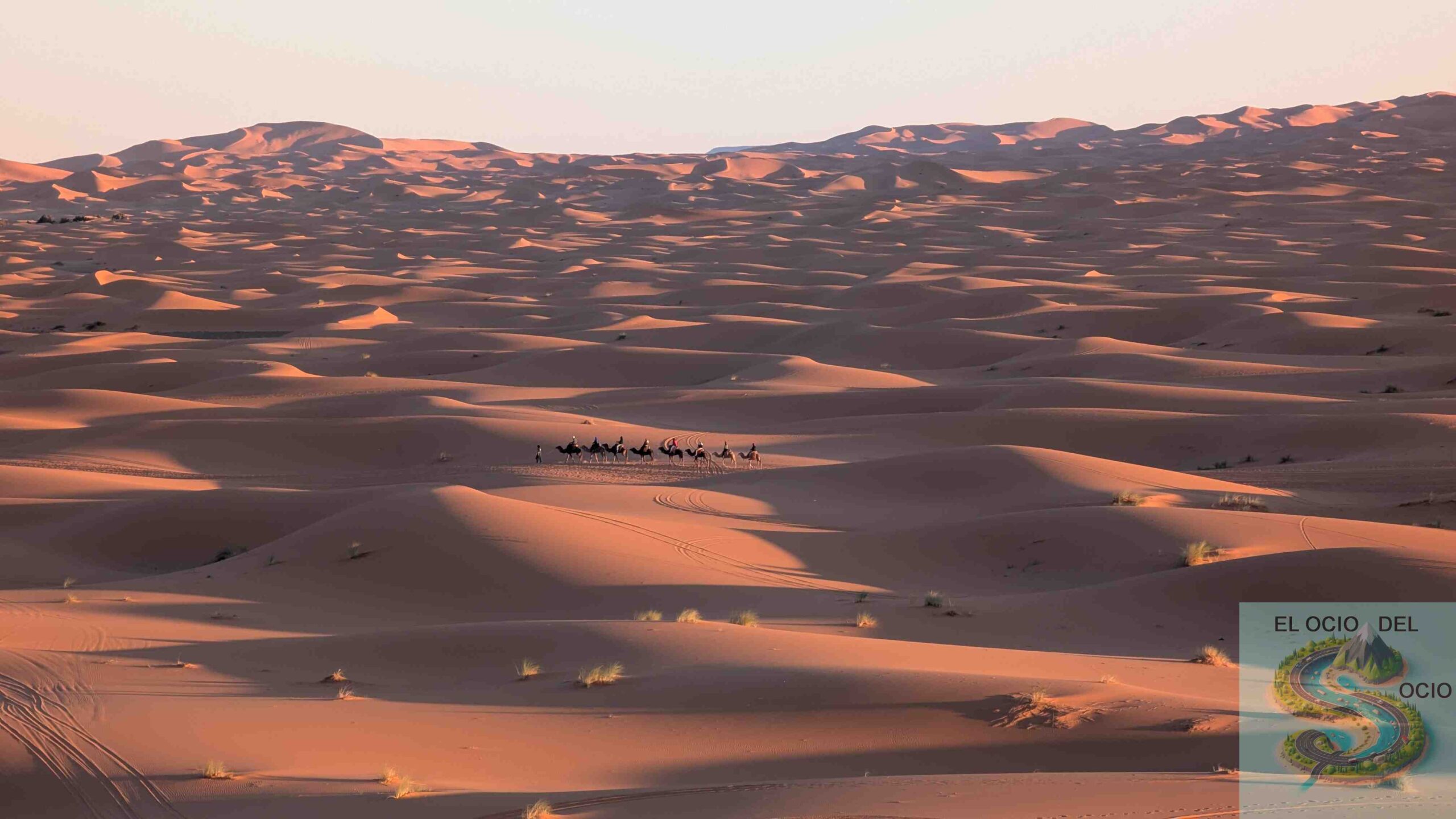 caravana camellos dunas merzouga 2